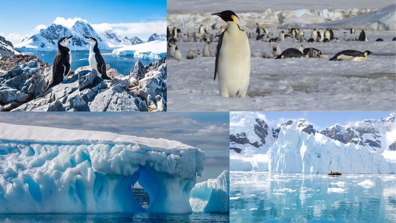 Everything You Wanted to Know About Antarctica | অ্যান্টার্কটিকা সম্পর্কে কিছু বর্ণনা